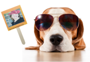 Illustration of a cool hound dog with sunglasses and Dr. Eva Berka photo on a stick. (By your side, Summer Contest)